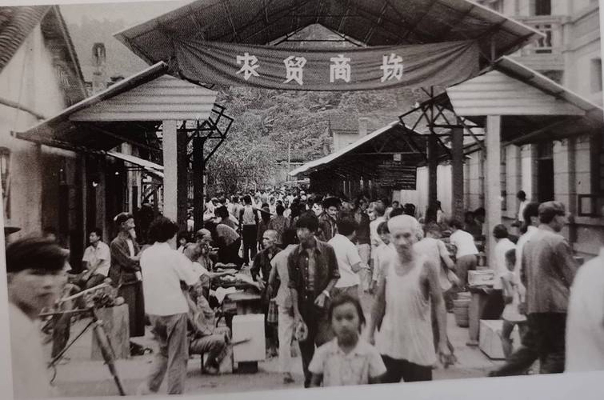 子珊商贸